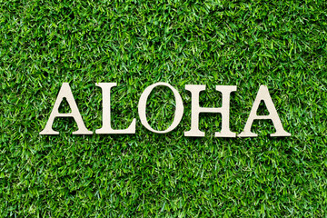 Wood alphabet letter in word aloha on green grass background © bankrx