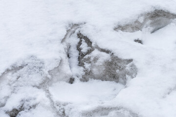 White snow with dirty hollows in it. Concept of a city winter.