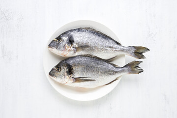 Raw dorado fish on white plate on a light background. Top view, copy space.
