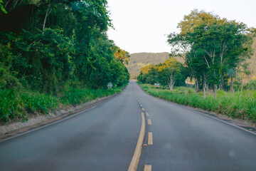 road in the forest