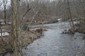 Manatawny Creek in Winter