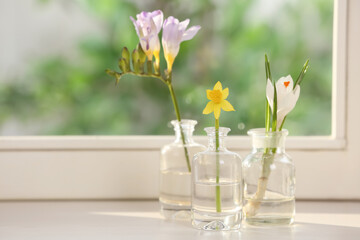 Beautiful spring flowers on window sill indoors