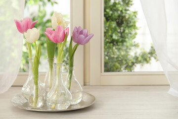 Beautiful fresh tulips on window sill indoors. Spring flowers