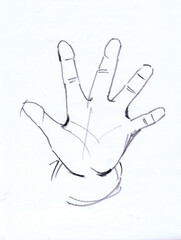 手の線画スケッチ
