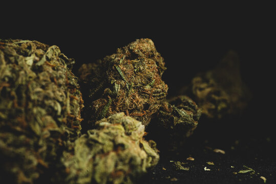 close up portrait of MAngo Kush Cannabis Marijuana Dry Buds,