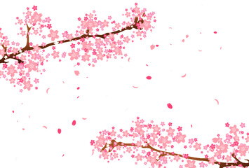 桜の花びらが舞う背景2
