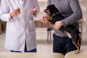 Young male doctor vet examining dog in the clinic