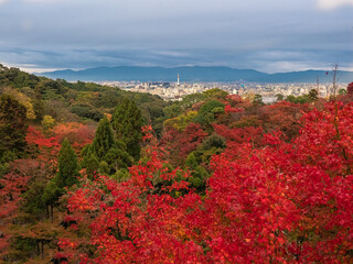 Kyoto/Japan - November 19, 2019: view on the city early autumn morning.
