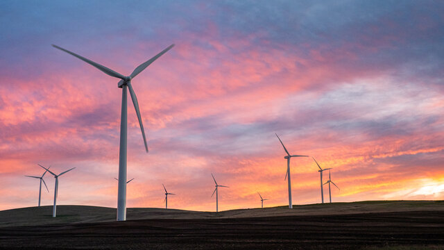 Wind turbines at sunset