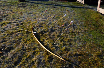 The archer collects stuck arrows at the bow for another series of shots attacks from a yew traditional bow used in the Middle Ages battles at Agincourt. meadow and wooden bow carved one piece