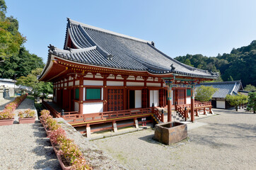 天野山金剛寺　金堂　大阪府河内長野市