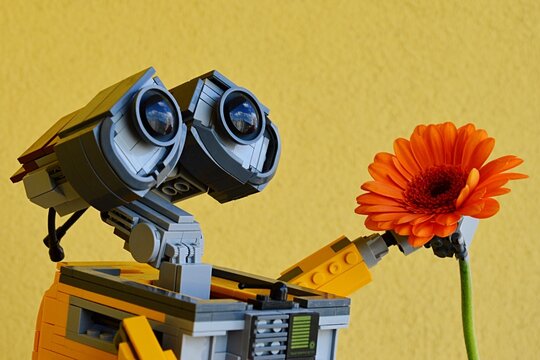 LEGO Wall-E robot from Pixar movie holding orange Gerbera flower, yellow background. 