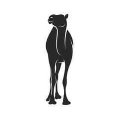 Camel vector illustration design, silhouette camel with black colour