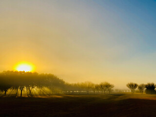 beautiful nature sunset sunrise morning evening