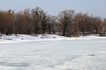 Landscape with forest and snow in winter