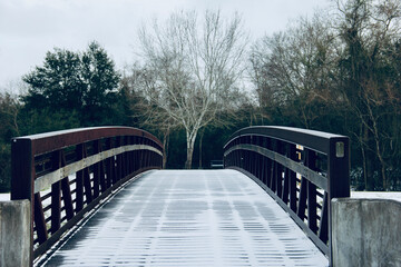 winter scenery nature morning beautiful sky birds ice snow 