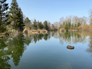 Gizlen pond (Gizlen Weiher) next to the natural protection zone Aargau Reuss river plain...