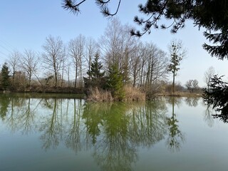Gizlen pond (Gizlen Weiher) next to the natural protection zone Aargau Reuss river plain...