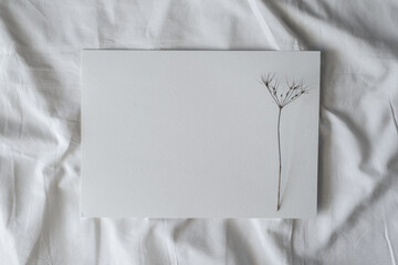 White sheet of watercolor paper and dry wild flower on white cloth, flat lay. Creative mood mockup, copy space.