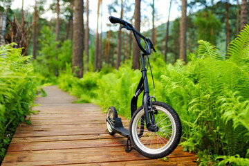 Fototapeta na wymiar push scooter in the forest park
