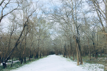 winter scenery nature morning beautiful sky birds ice snow 