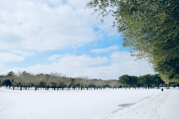 winter scenery nature morning beautiful sky birds ice snow 