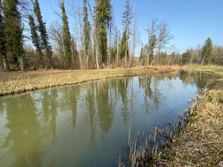 Die Altwasser im Rottenschwiler Moos and in the natural protection zone Aargau Reuss river plain...