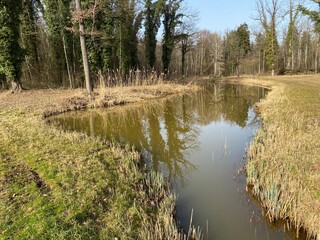 Die Altwasser im Rottenschwiler Moos and in the natural protection zone Aargau Reuss river plain...