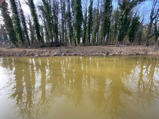Die Altwasser im Rottenschwiler Moos and in the natural protection zone Aargau Reuss river plain...