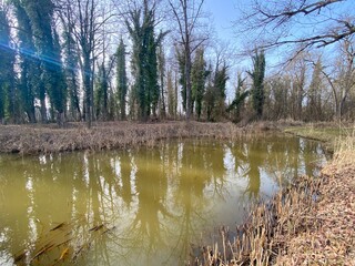 Die Altwasser im Rottenschwiler Moos and in the natural protection zone Aargau Reuss river plain...