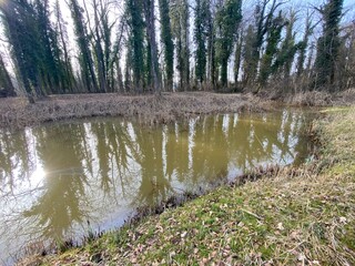 Die Altwasser im Rottenschwiler Moos and in the natural protection zone Aargau Reuss river plain...
