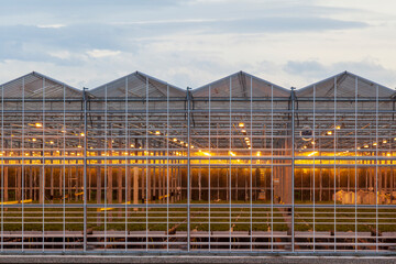 Illuminated industrial greenhouse