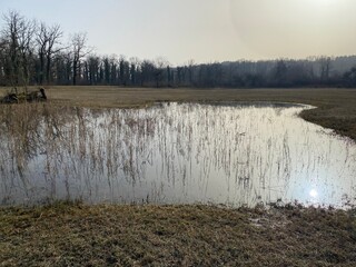 Die Altwasser im Rottenschwiler Moos and in the natural protection zone Aargau Reuss river plain...