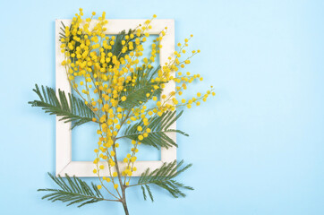 Mimosa and white frame on a blue background.