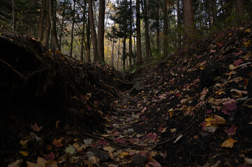 紅葉シーズンの榛名山（掃部ヶ岳）の登山