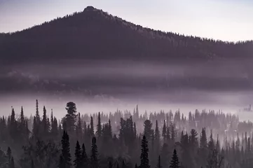 Wall murals Forest in fog northern valley with hills in winter