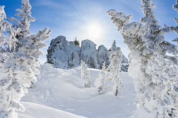 rocks white trees in hoarfrost