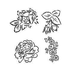 beautiful monochrome black and white bouquet lily isolated on background. Hand-drawn. design greeting card and invitation of the wedding, birthday, Valentine's Day, mother's day and other holiday