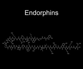 Fototapeta na wymiar Endorphins hormone. Mood hormone endorphins molecular chemical formula. Vector illustration
