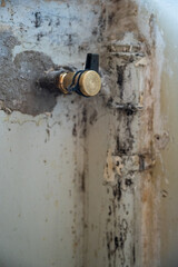 A vertical shot of an old rusty wall of a construction building