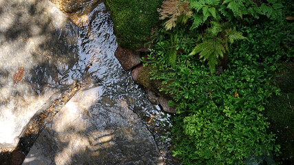  little stream in garden .top views background natural             