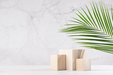 Tropical design for presentation and product display - cube wood podiums with green palm leaf, sunlight and shadow on white wood table, marble wall in sunlight.