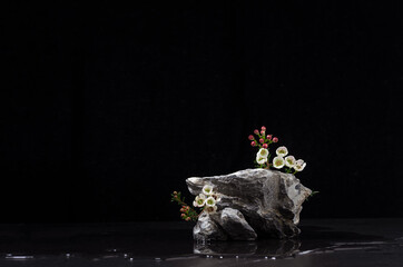 Elegant natural stone podium with fresh white tiny flowers as blooming shore at spring night for...