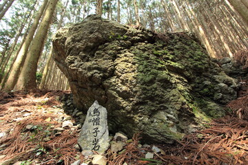 天空の茶畑　岐阜県上ヶ流地区は岐阜のマチュピチュと言われている
