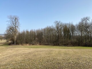 Natural landscape with early spring pastures and mixed forests in the natural protection zone...
