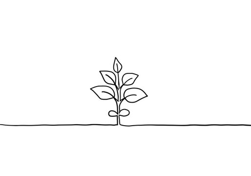 植物の手描き線画イラスト