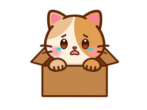 捨て猫 Images Browse 597 Stock Photos Vectors And Video Adobe Stock