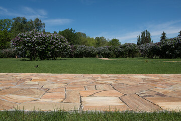 A path of yellow stones on a green lawn.