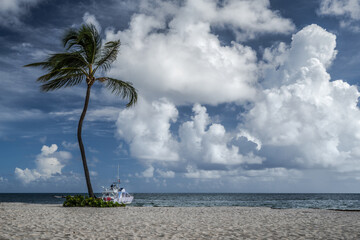 Blue sky with clouds over a sandy beach with a palm tree
