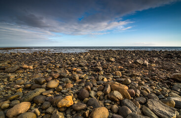 Rocky shore during low tide